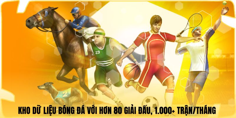 Kho dữ liệu bóng đá với hơn 80 giải đấu, 1.000+ trận/tháng 